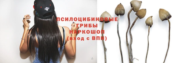 мет Карпинск
