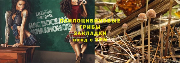 твердый Киренск