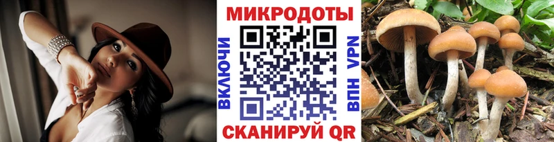 Псилоцибиновые грибы Psilocybe  Купить где  Елец 